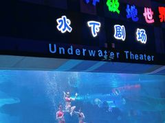 -泉城欧乐堡海洋极地世界