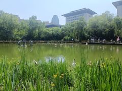 -城市运动公园(未央区)
