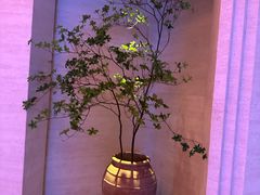 -舒小悦·舒养SPA·古法推拿(光环中心店)