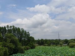 -东湖落雁景区