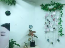 -杨丹国际美学肌研所