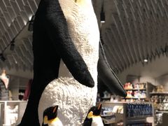-企鹅岛