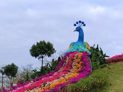-东莞植物园