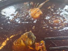 -费明中罗非鱼(大石坝店)
