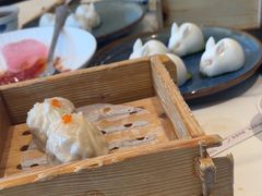 -侨美·唐荔园·40年地道粤菜