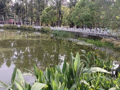 -翠湖公园