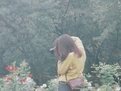 -人民公园(罗湖区)