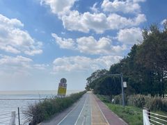 -贡湖湾湿地公园