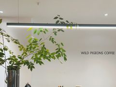 -野鸽子咖啡(中航店)