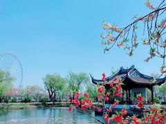 -无锡蠡湖国家湿地公园-蠡园