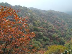 -少华山国家森林公园