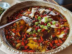 麻辣水煮鱼-青年公社烤鸭(青年路店)