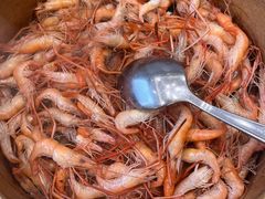 -小北江河鲜(新城店)