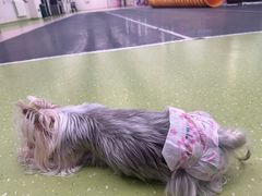 -全心全意动物诊疗中心医院(北苑店)