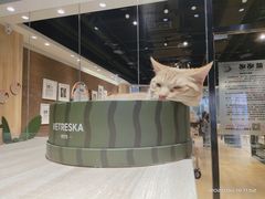 -藏猫猫咖啡主题馆(中央大道店)