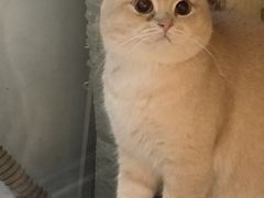 -平行世界·猫咖(首经贸店)