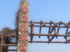-塘沽森林公园