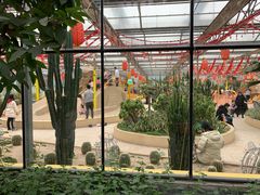 -南宫五洲植物乐园