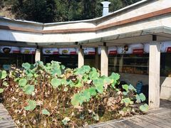 -天怡·鱼工厂(梅溪湖店)