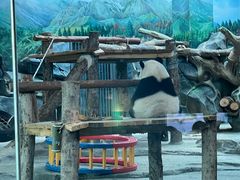-武汉动物园