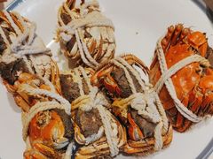 -杨氏青龙虾·羊蝎子(托乐嘉店)