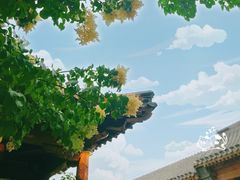 -三里河公园