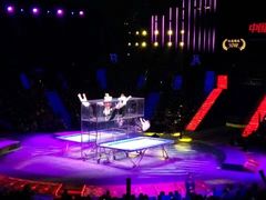 -珠海横琴长隆《卡卡虎奇遇记》