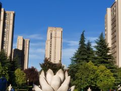 -木塔寺遗址生态公园