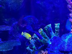 -沈阳海洋探索中心