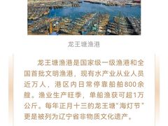 -龙王塘渔港