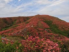 -大围山国家森林公园