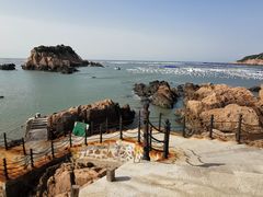 -枸杞岛