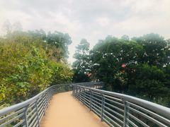 -玉树公园