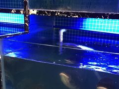 -姜君·千岛湖鱼头馆(浦东大道店)