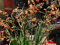 -南堂館川菜文化餐厅(天府店)