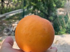 -幸福时光KTV(燕子山路店)