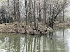 -七桥瓮公园
