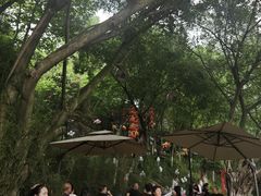 -丰都鬼城名山景区