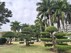 -石炮台公园