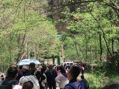 -山西通天峡景区