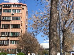 -洪家楼教堂