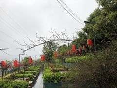-枇杷园食为鲜火锅(南山店)