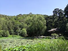 -香山公园