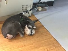 -拳盛时代拳击俱乐部(北京路店)