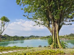 -水濂山森林公园