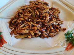 -醉香园(长江北路店)