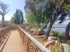 -呈贡滇池生态湿地公园