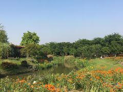 -鹅湖玫瑰文化园