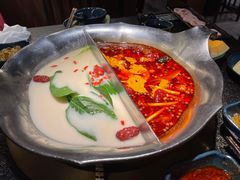 台式麻辣花胶鸡鸳鸯锅-湊湊火锅·茶憩(世博大道店)