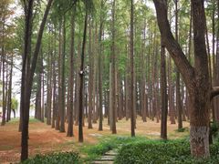-东湖落雁景区